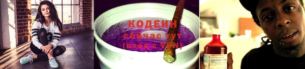 молекула духа Медногорск