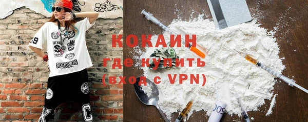 хмурый Мегион