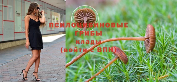 соль ск Покровск