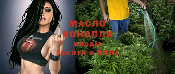 хмурый Мегион