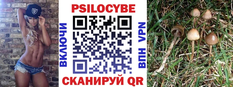 Галлюциногенные грибы Psilocybe  Невельск 